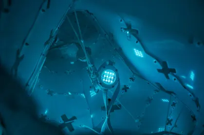 زودياك بيت كازينو تطبيق الهاتف المحمول